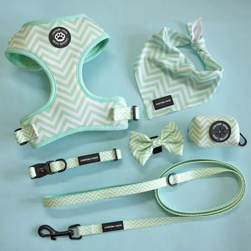 High Quality Custom Designs Dog Harness Collar Lead Poop Bag, Pet Accessory Set