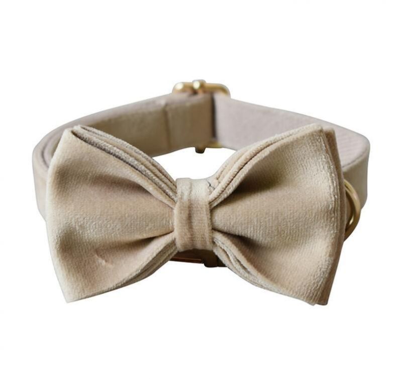 Comfort Soft Velvet Elegant Dog Collar Leash Bow Tie