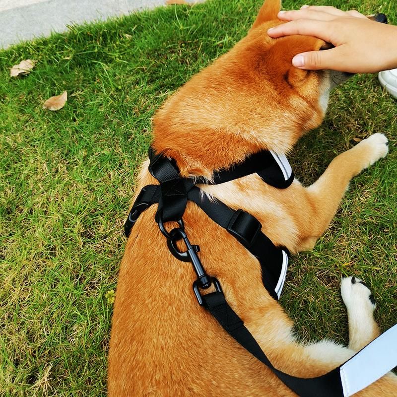 Pet Supplies Dog Leash Set Adjustable White Dog Collar Custom Dog Harness Leash