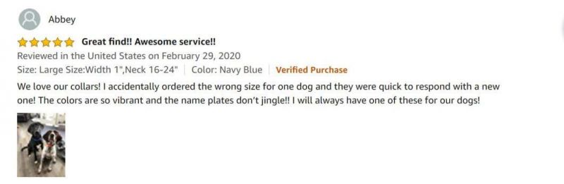 Soft Neoprene Padded Adjustable Dog Collar with Safety Locking Buckle