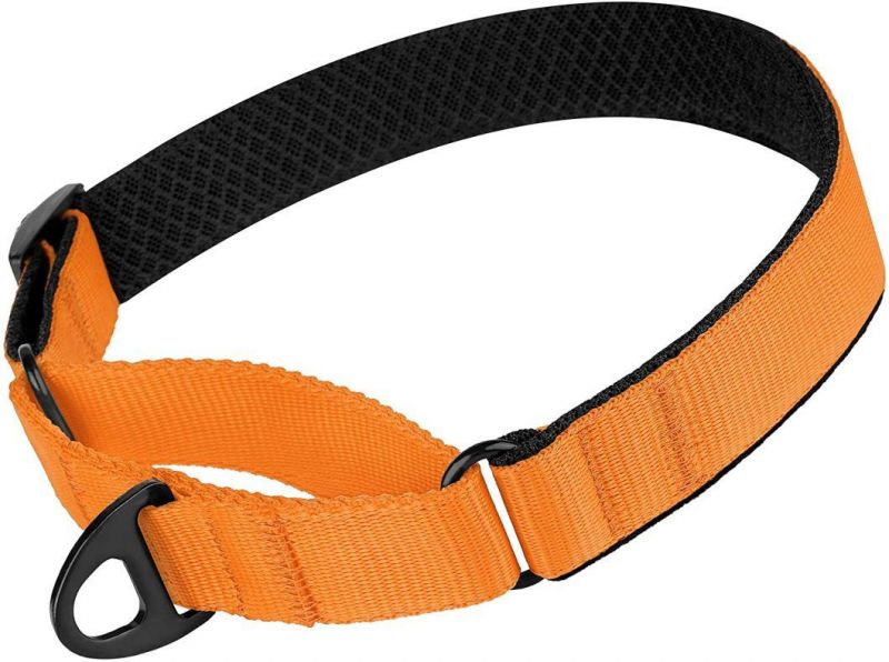 Nylon Martingale Dog Collar Soft Padded Durable Training Pet Collars