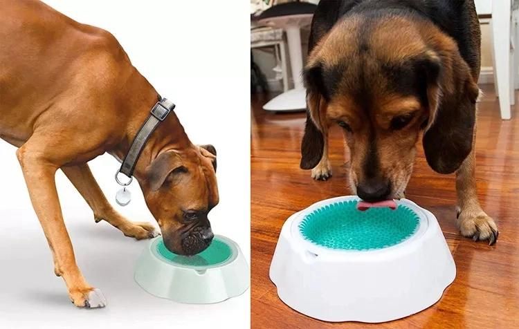 Dog Gel Cooler Bowl/ Pet Ice Cooling Feeder