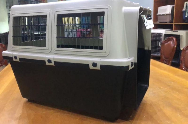 Plastic Airline Crates Dogs Kennels Direct Premium Plastic Dog Kennel