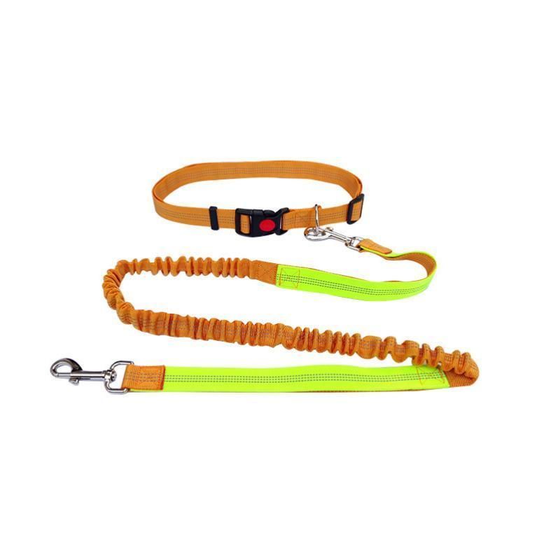 Dog for Running Walking Elastic Reflective Bungee Rope Dogs Leashes New Pet Hands Free Dog Leash Running Rope