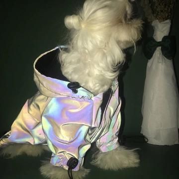 High Visibility Outdoor Rainbow Colorful Reflective Dog Jacket