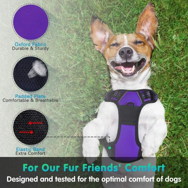 Custom Reflective No Pull Pet Dog Harness Breathable and Adjustable Pet Vest