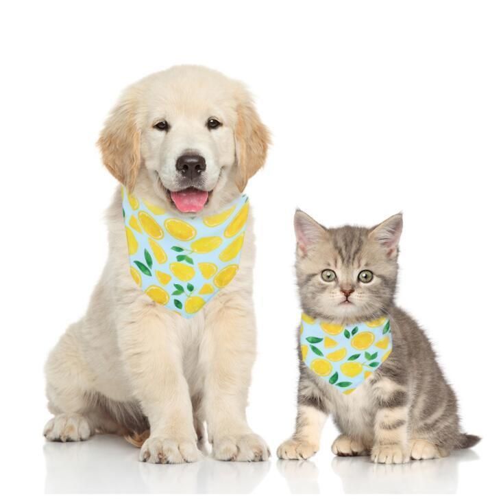 Adjustable Bowtie and Scarf Triangle Bibs Kerchief for Puppies