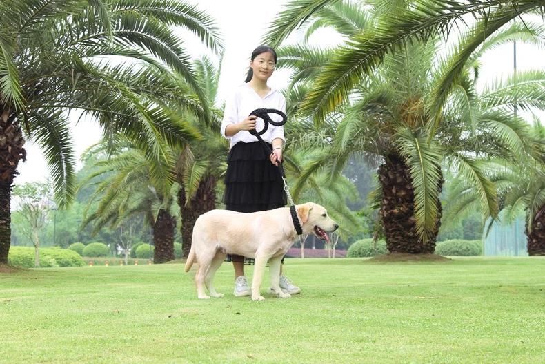 Adjustable Slip Pet Collars Traction Rope Dog Leash