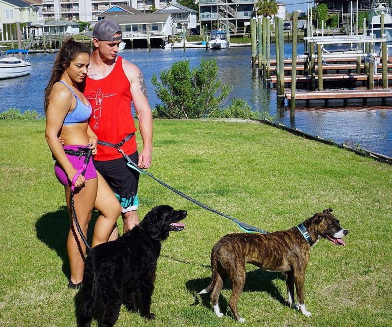 Hands Free Dog Leash for Running Working Outdoors for Dog