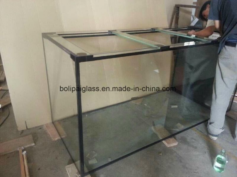 Best-Selling Rectangular Glass Aquarium Fish Tank for Home Decorative