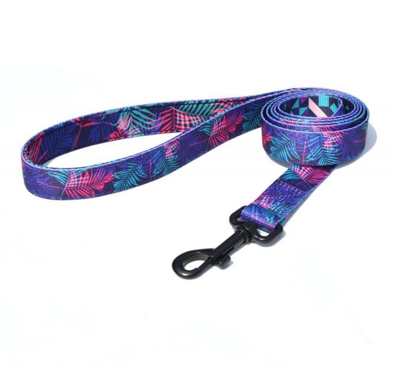 OEM Premium Quality Durable Polyester Custom Pattern Soft Handle Padded Dog Leash