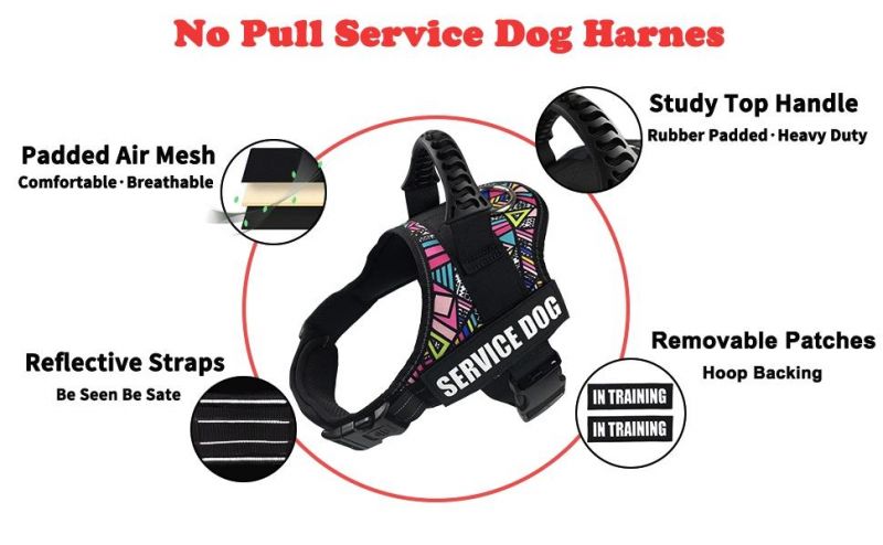 Spupps Colorful and Durable Halter for Dog Pulling Especially for Small Medium Large Breed Dog