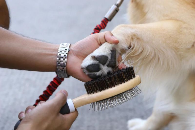 Pet Accessories Grooming Dog Cleaning Brush