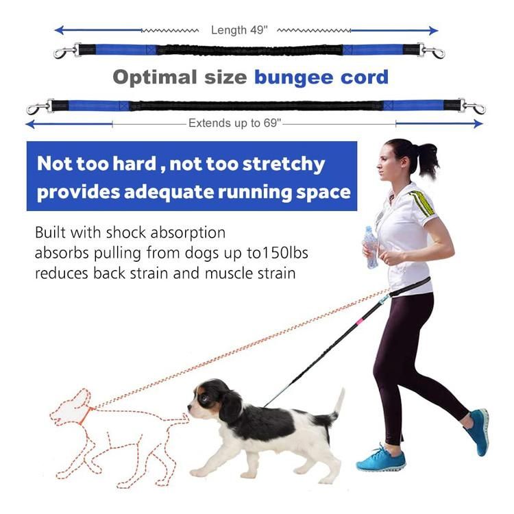 Hands Free Reflective Nylon Bungee Pet Dog Leash