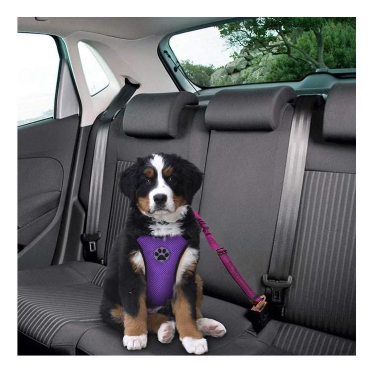 Durable Nylon Dog Seat Belt Reflective Elastic Bungee Leash