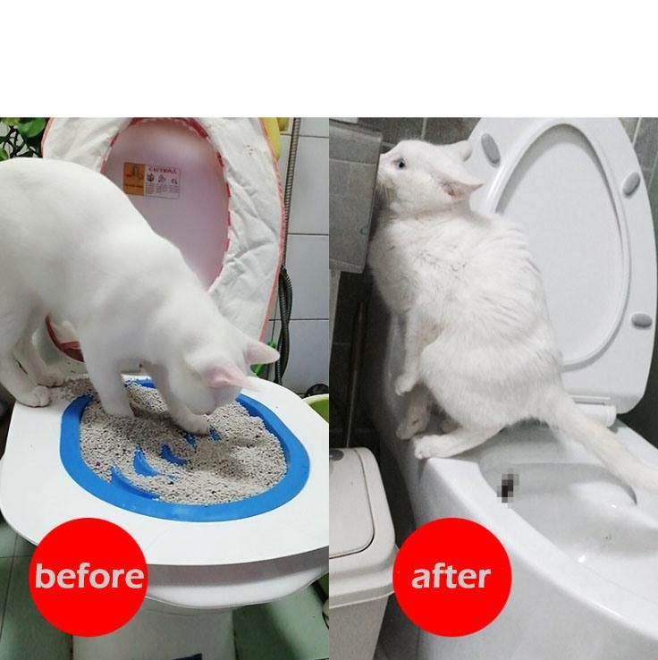 Eco-Friendly Indoor Toilet Trainer for Cat Pet Toliet
