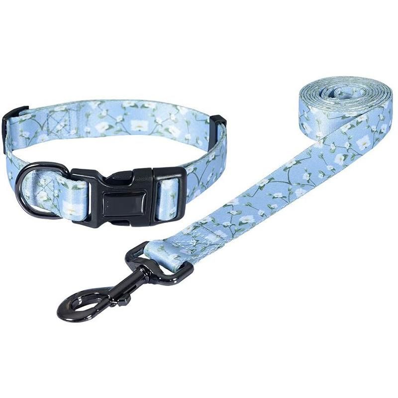 Soft Durable Eco Friendly Dog Training Collar Custom Personalized Design Strong Pet Dog Collar and Leash