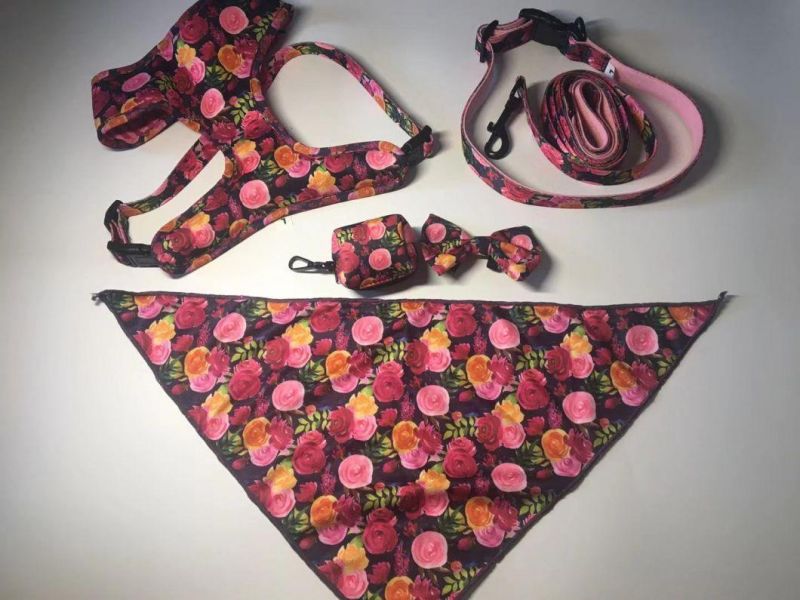 Custom Design Dog Harness Collar Leash Poo Bag with Small MOQ