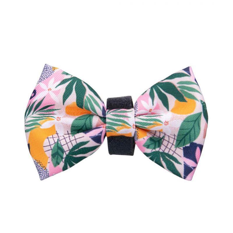 Spring Summer Dog Harness No Pull Vest Harness with Soft Air Mesh Camouflage and Skeleton Pattern