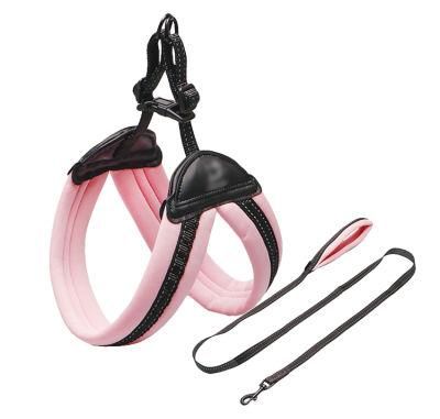 New Design High Quality Polyester New Dog Harness and Leash Set for Walking Dog
