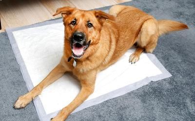 Dog Diaper Liner Male Dog Diaper Free Sample Dog Diaper