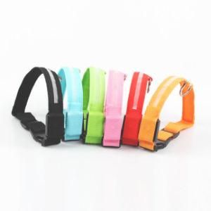 Pets Accessories Rechargeable LED Dog Neck Collar for Wholesale