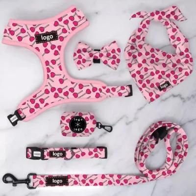 Hot Sale Neck Adjustable Sublimation Patterns Soft Neoprene Padding Dog Harness Collar Lead