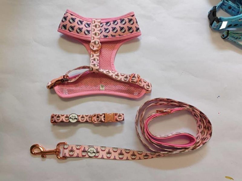 Eco Friendly Printing Dog Leash Harness