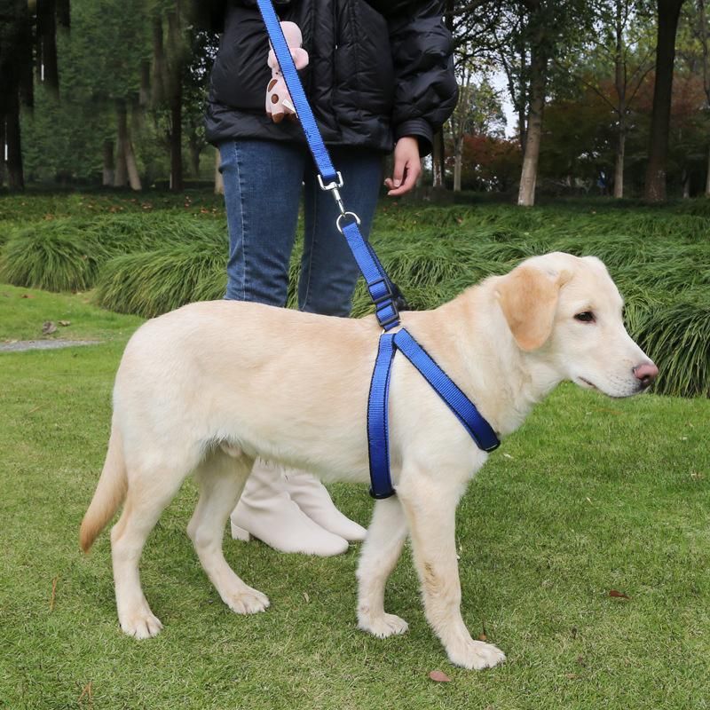 Color Nylon Adjustable Dog Harness Can Be Used for Outdoor Walking Training