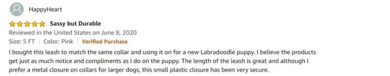 Sturdy Pattern Dog Leash Support Customer Design Dog Leash