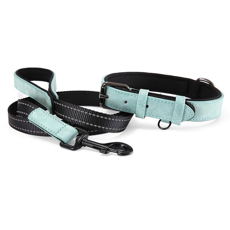 Light Reflective Fashion Collar and Leash for Pet Dog