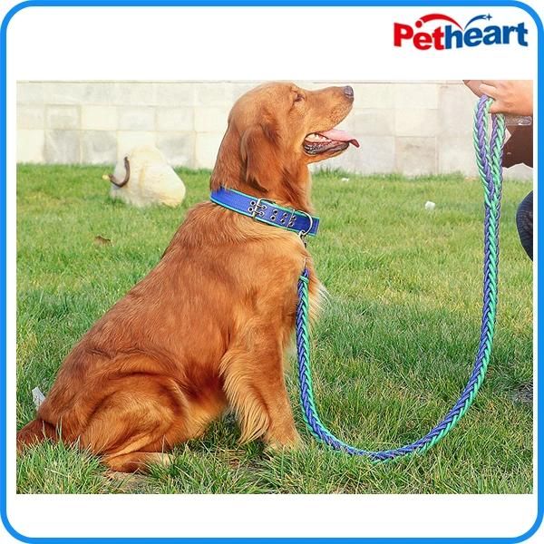 Nylon 4 Size Colorful Cheap Pet Lead Dog Leash Manufacturer