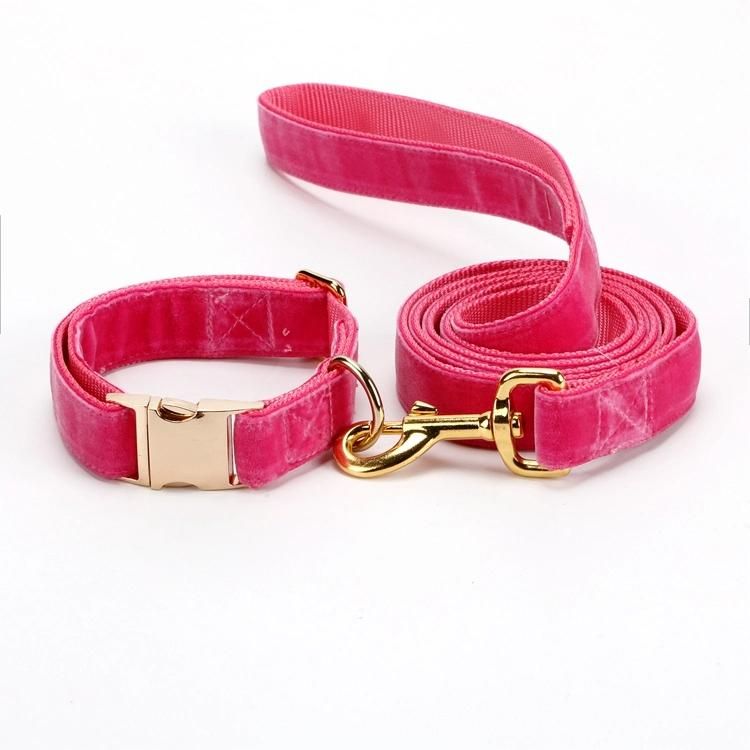 Four Color Choice Velvet Dog Collar and Leash