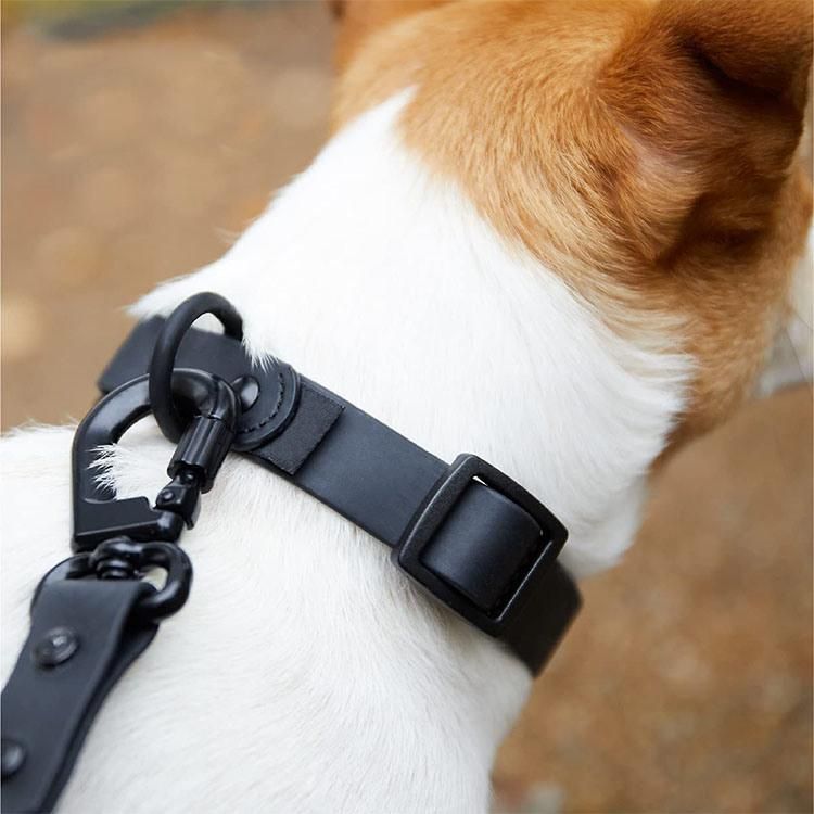 Waterproof Adjustable Multiple Color Pet Dog Collar for Puppies and Adult Dogs