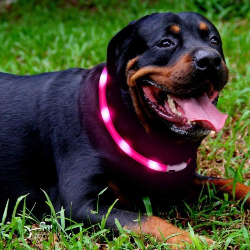 Safety Silicone LED Dog Collar USB Rechargeable Pet Collar with Water Resistant and Adjustable Light up Collars for All Dog Sizes