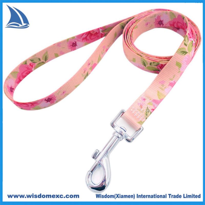 Dog Leash Retractable Pet Collar Belt Long Leash Clip on