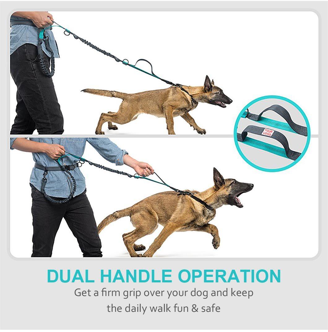 Pet Supply High Quality Retractable Dog Pet Collar Leash Reflective Pet Dog Running Leash