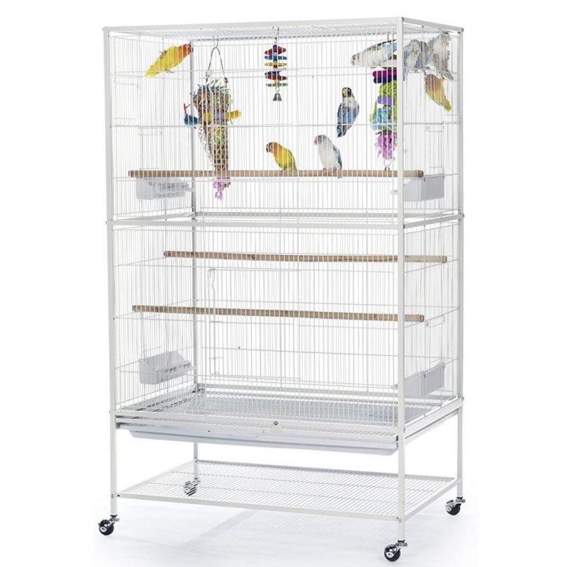 in Stock Customize OEM ODM Rotunda Bird Perch Stand up Parrot Cage