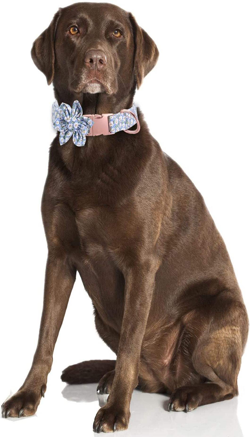 Floral Pattern Bowtie Pet Collar Soft Cotton Dog Collar