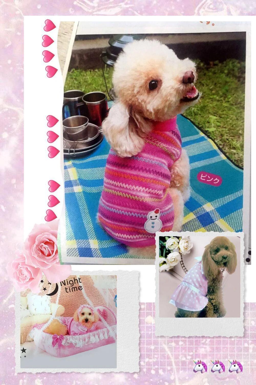 Pet Worm Coat Pet Products Dog Coat Dog Clothes