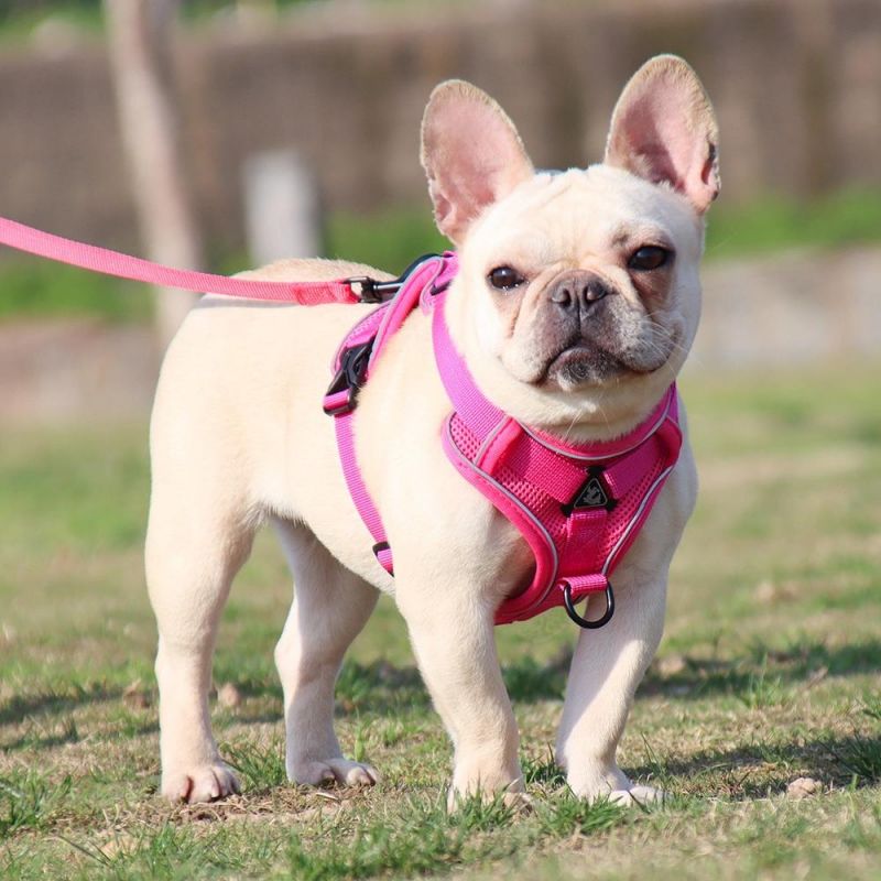 Dog Harness with 150cm Leash Set No Pull Dog Vest
