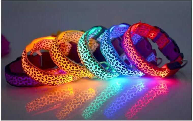 Adjustable USB Rechargeable Glow Light up LED Pet Dog Collar for Small Medium Dog