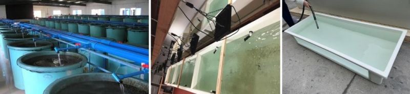 Large Size Outdoor FRP GRP Fiber Glass Wholesale Fish Farming Aquarium Tank 2850*1700*550mm