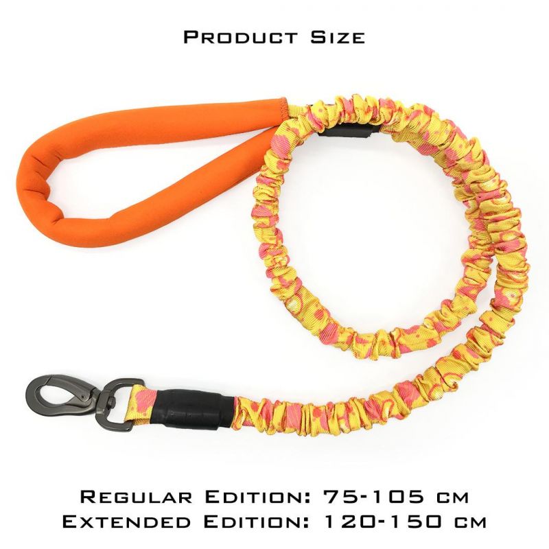 Premium Quality Outdoor Nylon Heavy Duty Training Dog Leash