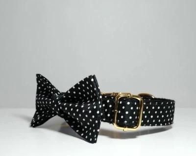 Wholesale Personalized Puppy Collar and Leash Set with Cute Bowknot