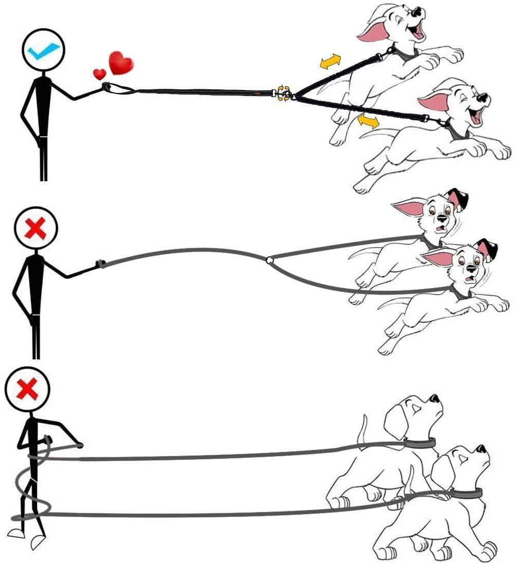 Double Dog Leash Swivel No Tangle Double Dog Walking & Training Leash