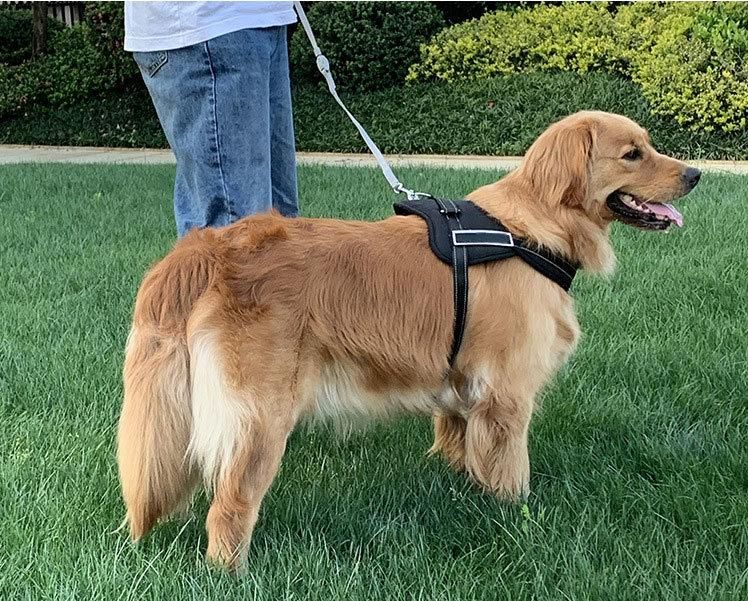 Amazon New Hot Sell Reflective No Pull Quick Release Adjustable Padded Pet Dog Harness Vest