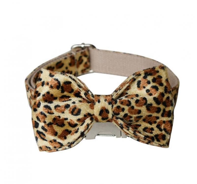 Animal Print Leopard Dog Collars