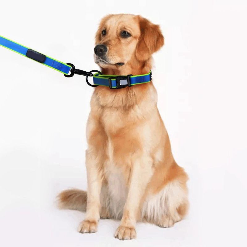 Personalized Dog Collars Pet Collars for Small Medium Large Dog Pet