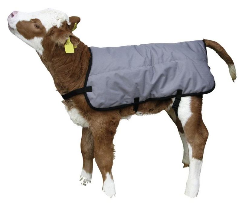 Warming Calf Cover Blanket Livestock Blanket